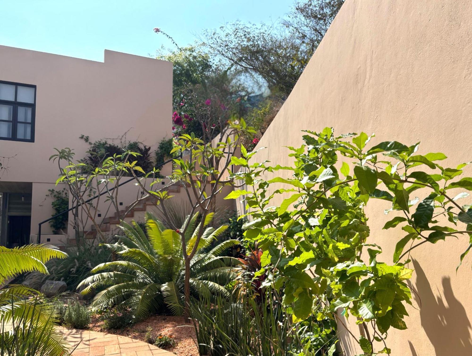 Casa Las Almas 马祖特 外观 照片